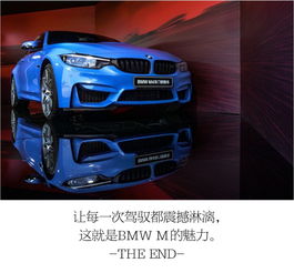  易车网bitauto.com