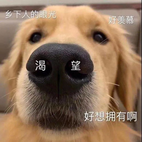  找一首英文歌只记得结尾的一个单词了