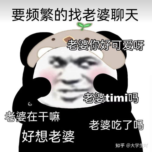 最佳男朋友表情包老婆