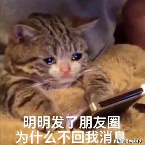  微信表情包图片明明发了朋友圈,为什么不回我消息