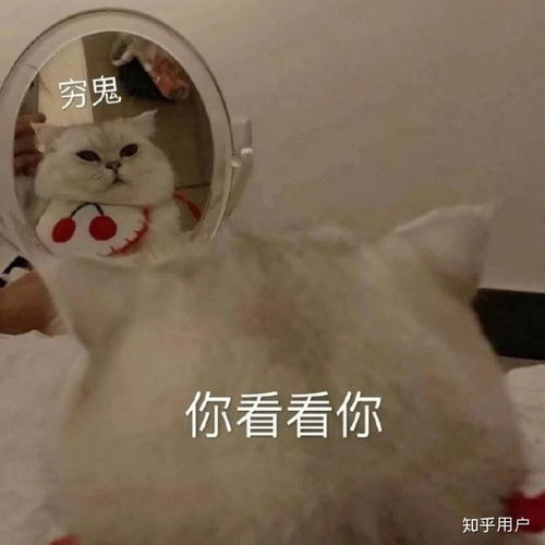  当幼师会面临什么样的问题