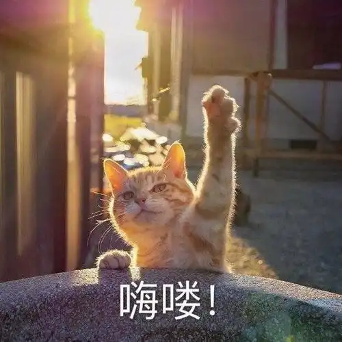  微信公众号图文排版之再也不用担心忘记卡点群发了