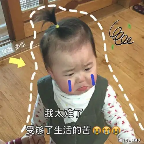 我太难了表情图
