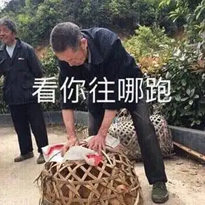  滴滴开车了