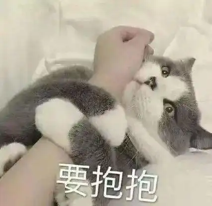  本文预计阅读时间10s什么
