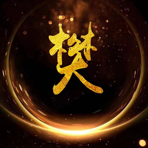  霸气金光闪闪姓氏微信头像,进来带走你的姓氏壁纸头像