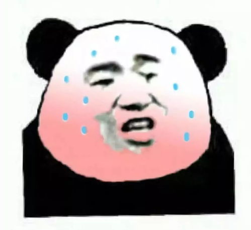  给大家介绍一下最近几天的我,哈哈哈哈哈哈哈哈哈哈哈
