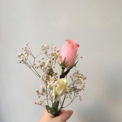  微信头像图片风景花草微信清新头像图片大全