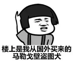  该用什么表情克制盗图狗