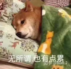 你是属于我的表情包起床