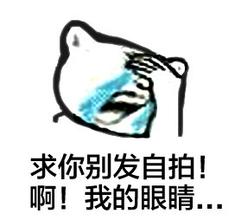  捂脸表情包