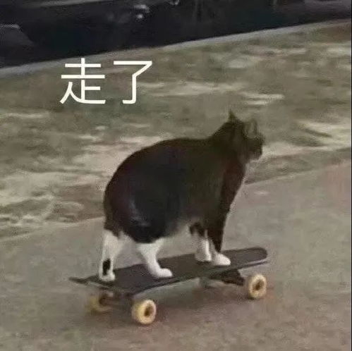  南区小吃街复活记