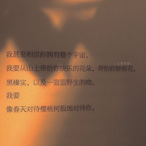  小众高级的文案