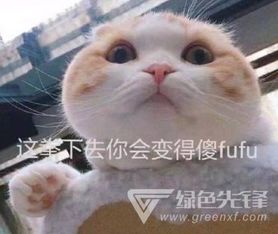  四月斗图必备热门表情包四月斗图必备热门表情图片大全最新版软件下载