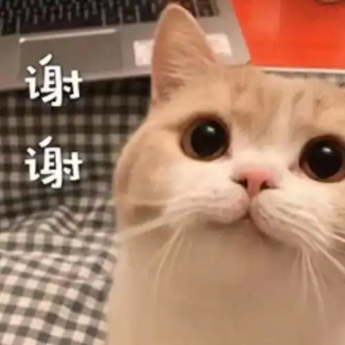  谢谢老板丨第311期喵表情包