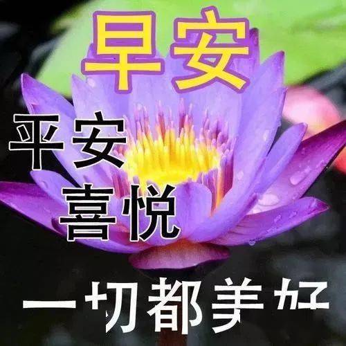 早早上好表情包羡慕