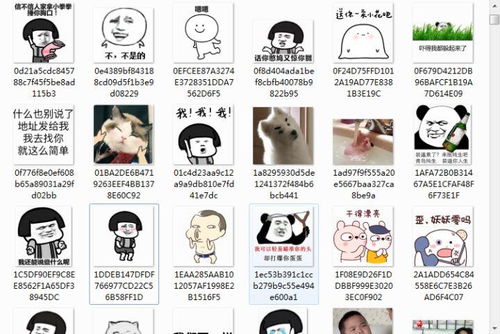  怎么把微信里的gif动图表情保存到电脑使用