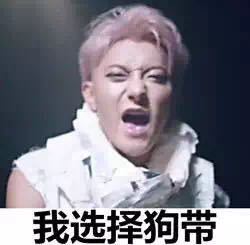  胶片初学者如何选择胶片单反