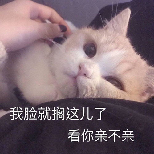  感动