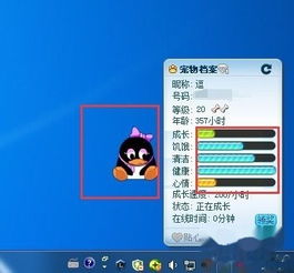  如何玩qq企鹅宠物