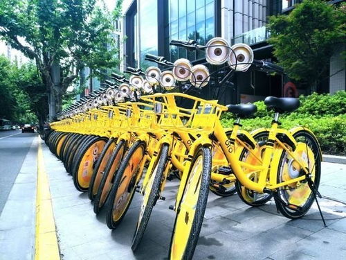  共享单车市场进入战略调整期何时盈利依然是个大问题