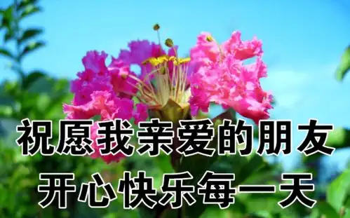  1月27日最漂亮早上好动态表情图片大全