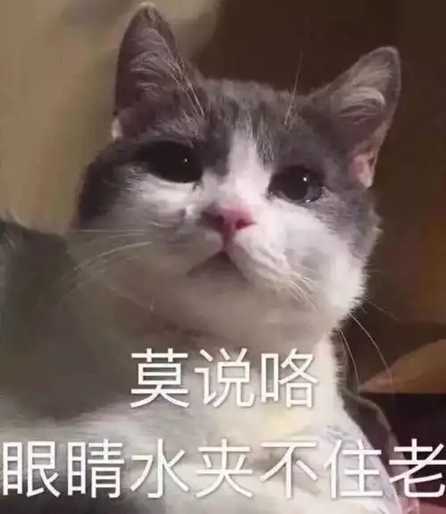  抖音热门表情包一个人的夜我的心应该放在哪里