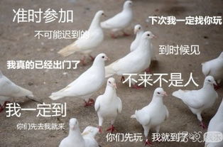  不管男神女神,都逃不过成为自己讨厌的人这个宿命