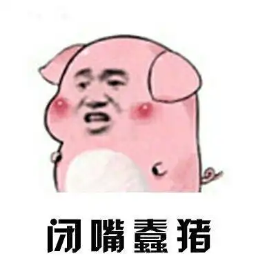  搞笑gif趣图自从我家的猫看了一次拳击比赛,然后就变成这样了