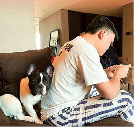  英雄联盟uzi女友不让小狗看电视剧,让训练深夜怒斥喷子