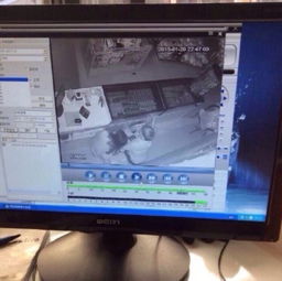  四川一对情侣盗窃成功就地热吻被监控拍下
