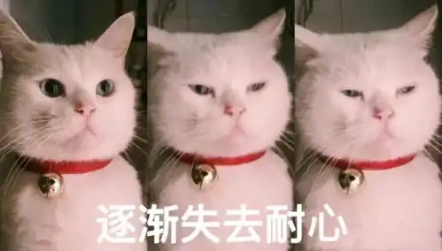 一只白猫旁边一个问号的