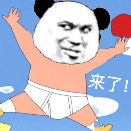  你是什么品种的猪