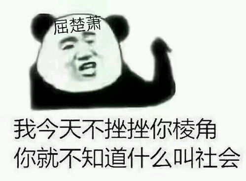  追星女孩的沙雕表情包合集