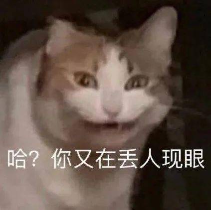  沙雕表情申请加入你的被窝