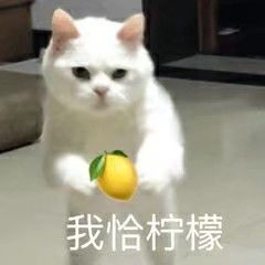 情侣头像查询查到