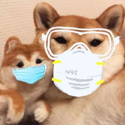  聊天必备的口罩头像让我看看谁还没有戴口罩