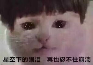  社畜专用表情包