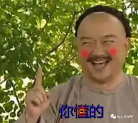 嘴巴嘟嘟表情包药水哥