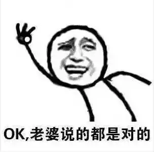 老公赚钱表情包老婆