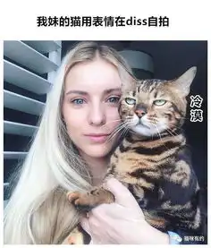  讨厌拍照的主子们表情戏好多搜狐宠物搜狐网