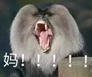 闭嘴的表情包山猪