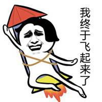  飞起来的表情包微信头像图片大全