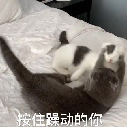  玛德制杖玛德制杖表情