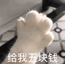  抖音猫爪给我五块钱表情包分享