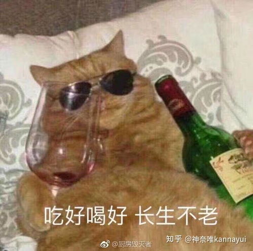  怎么才能像瘦子一样对食物无欲无求呢