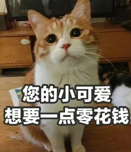  关注丨大一新生们注意啦这些骗局一定一定要小心
