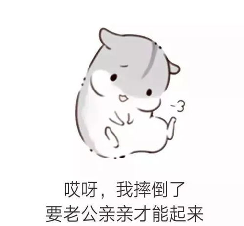 最佳男朋友表情包仓鼠