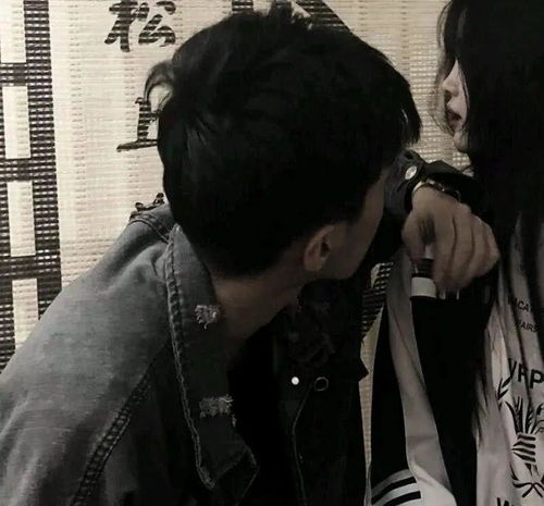  无标题