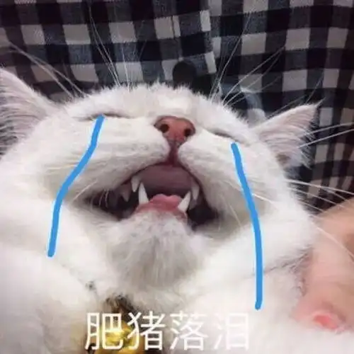  给南昌交院学弟学妹们的一些小建议,请查收